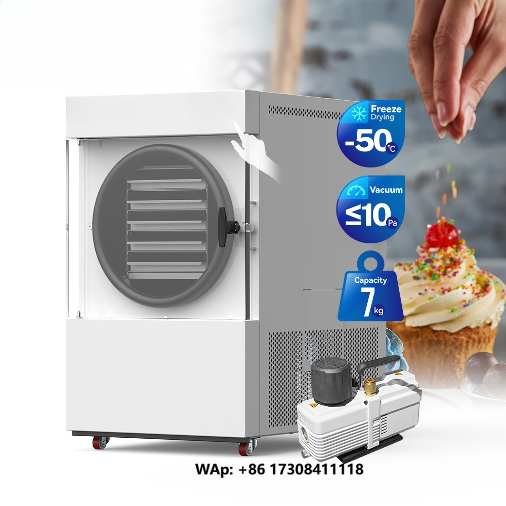 Food Storage Vacuum Pump - Vacuum Freeze Dryer Machine with Pump
