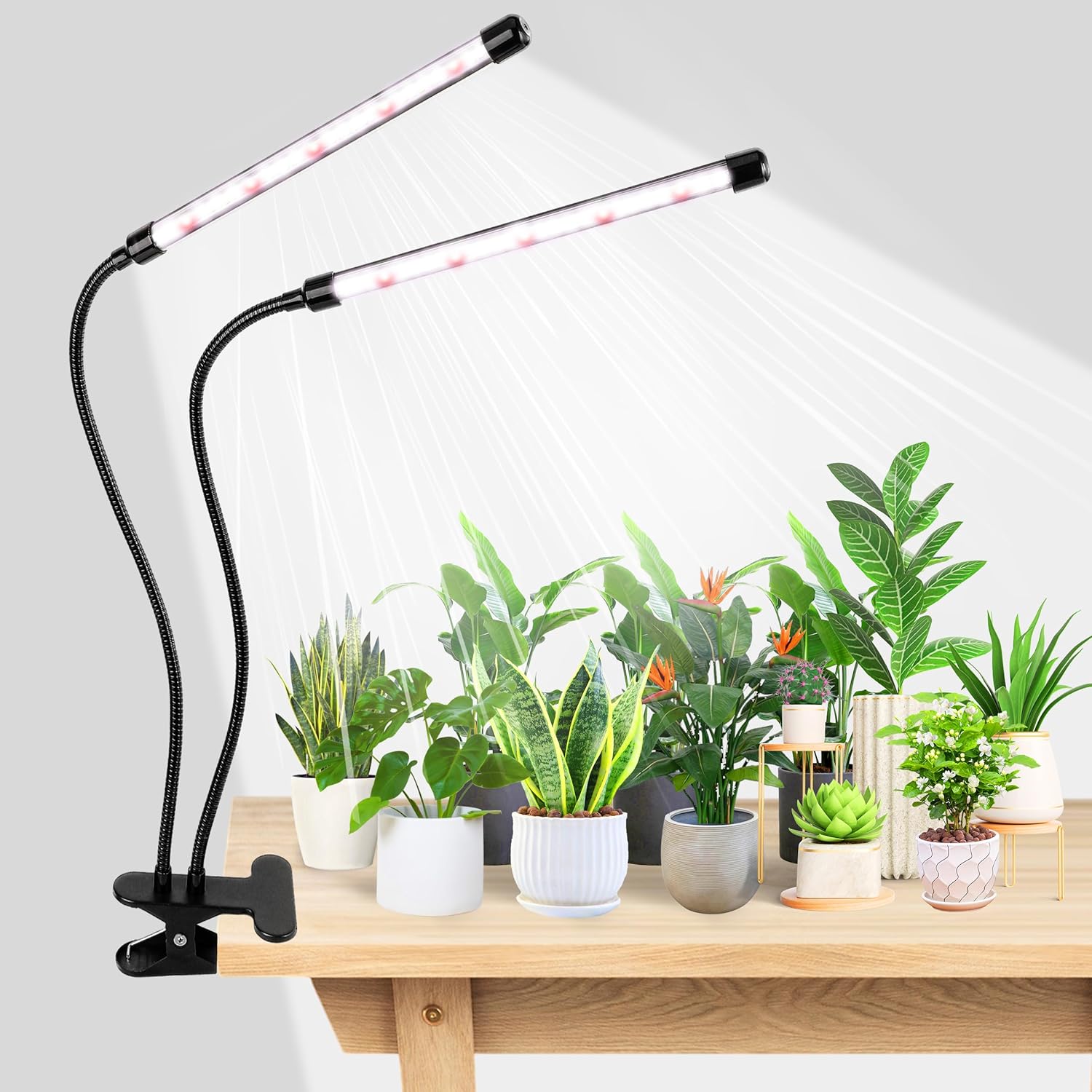 Food Storage Plants - KEBINCPLED USB 5V Clip Plant Grow