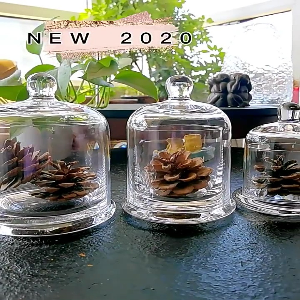Food Storage Plants - Glass Glass Storage Jar Eternal Life