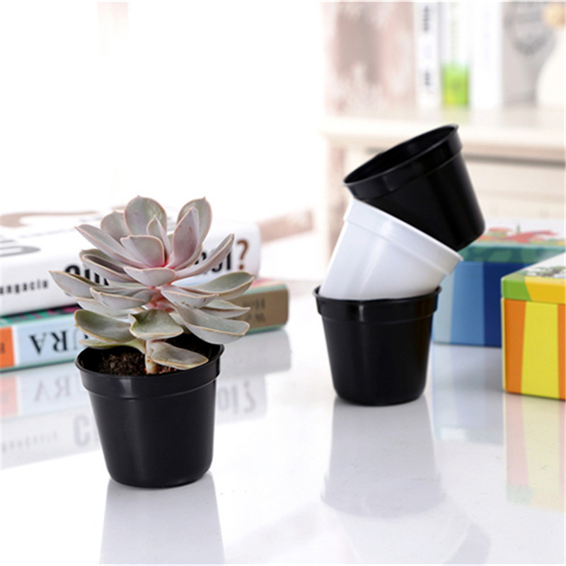 10/20pcs Round Plastic Flowerp - Food Storage Plants recension och pris
