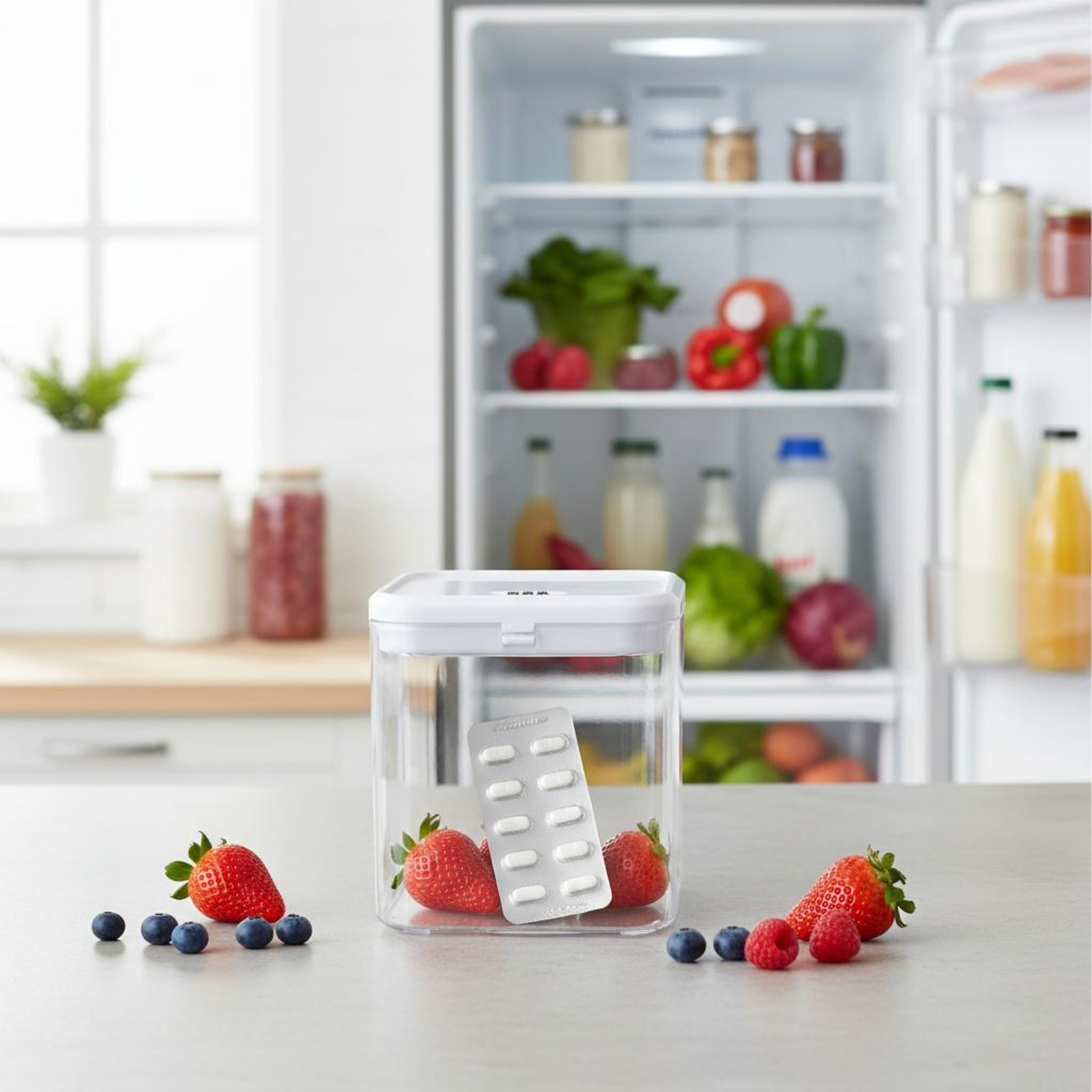 Clear Lockable Box Versatile L - Food Storage And recension och pris