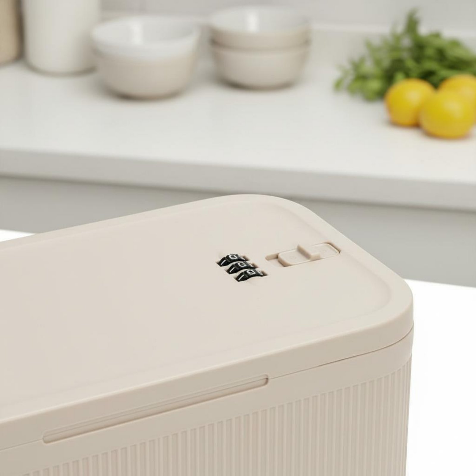 Combination Lock Box Smell Res - Food Storage Lock Box recension och pris