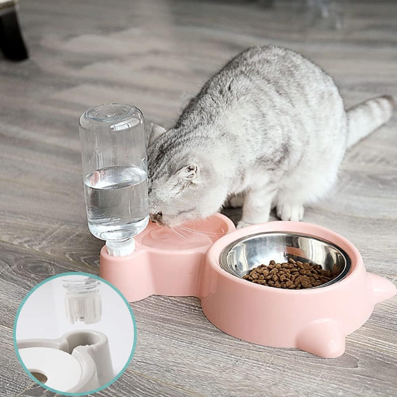 Pet Water Dispenser for Cats a - Portion Control Container recension och pris