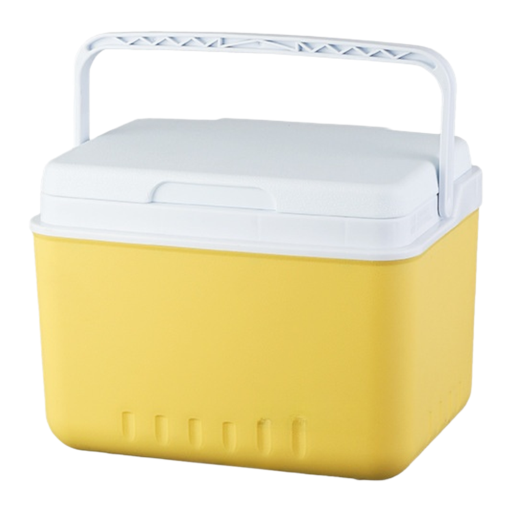 Portable 6L 15L Insulated Cool - Food Storage In Cooler recension och pris