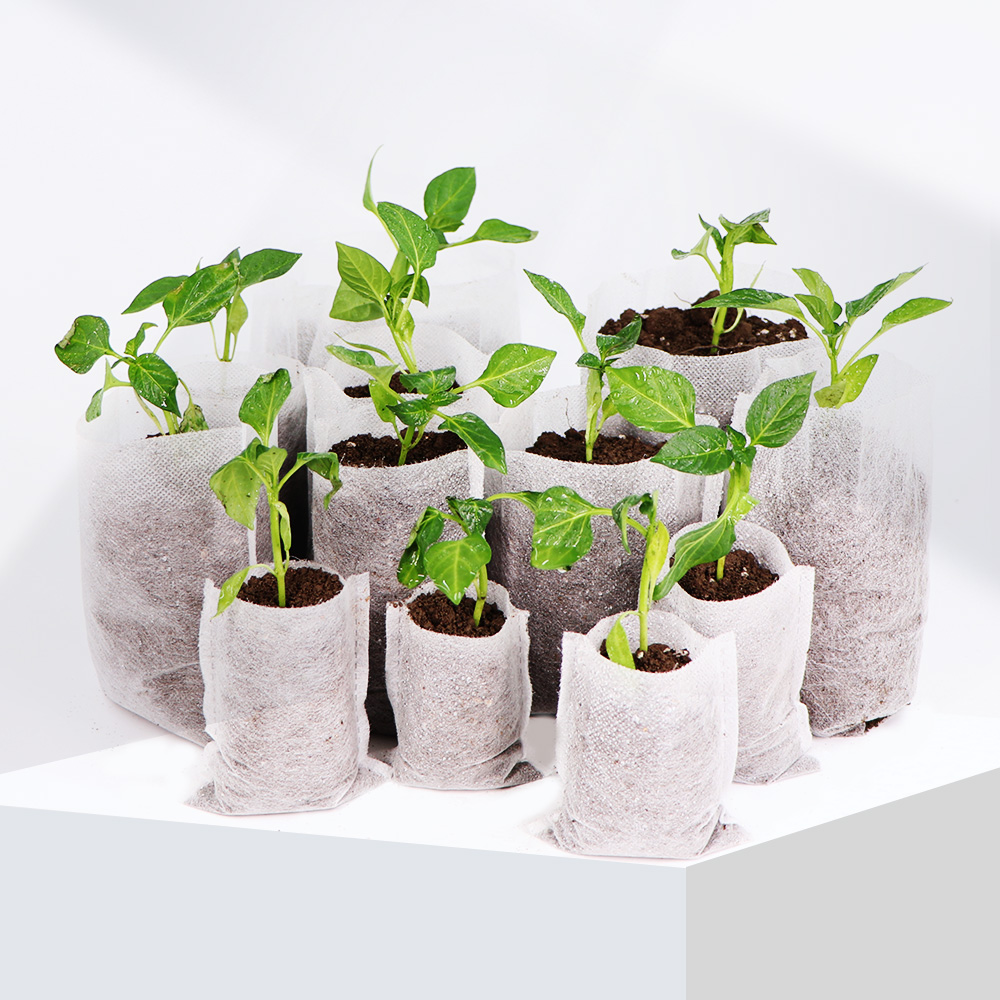 Biodegradable Nonwoven Fabric  - Food Storage Plants recension och pris