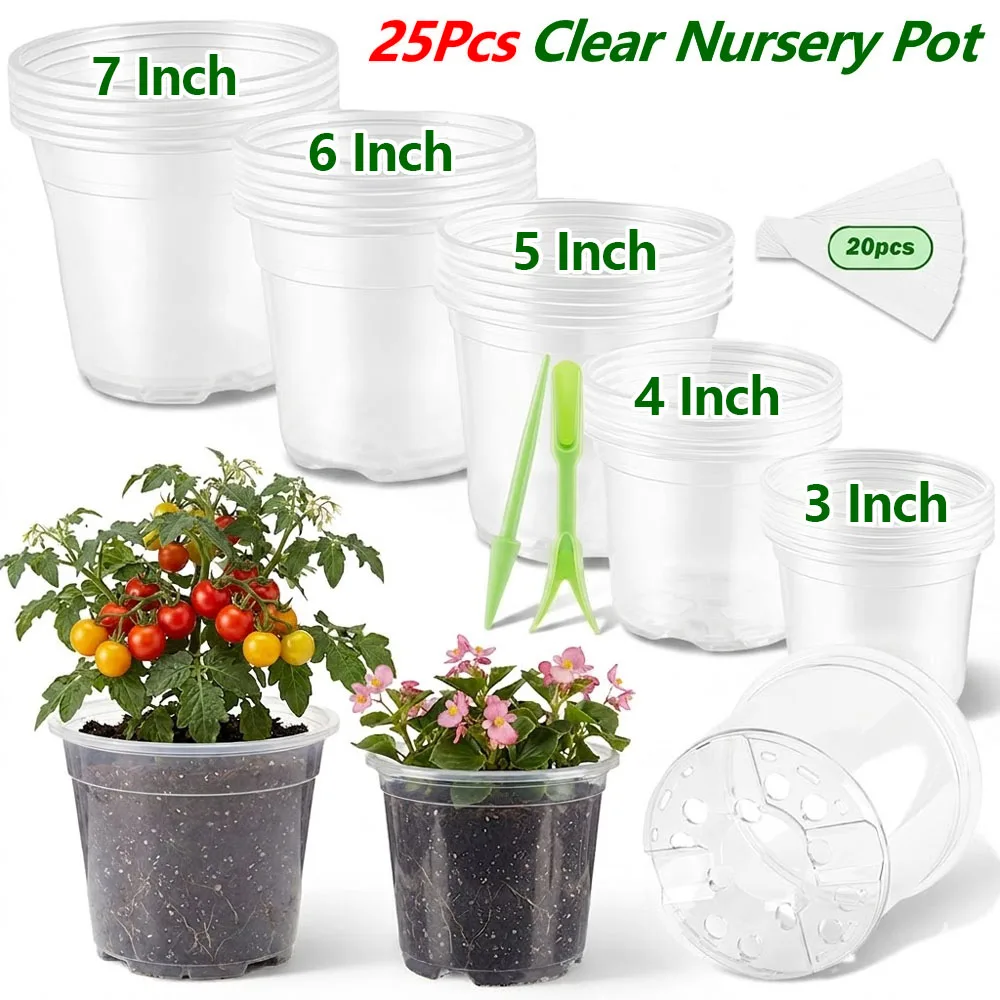 25Pcs 3/4/5/6/7 Inch Clear Nur - Food Storage Plants recension och pris
