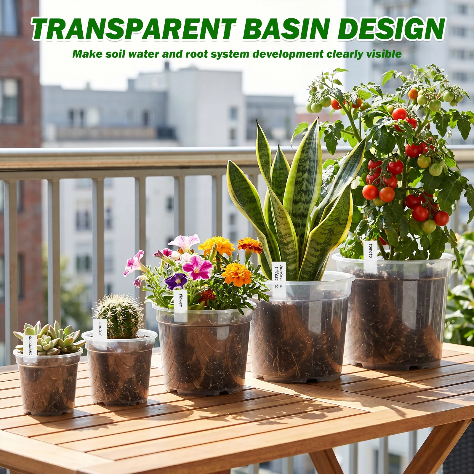 25Pcs 3/4/5/6/7 Inch Clear Nur - Food Storage Plants recension och pris